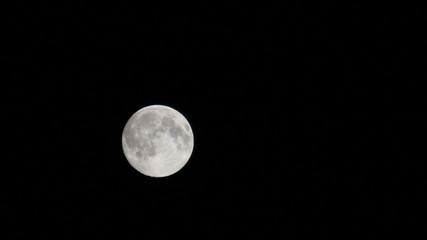 Wall Mural - full moon moving on night sky