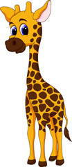 Wall Mural - Cute giraffe cartoon