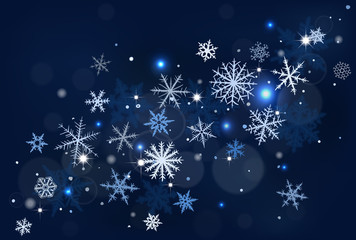 Abstract Christmas background with various snowflakes.