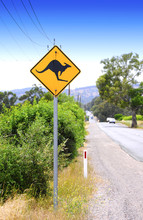 Kangaroo Crossing Sign Along Australian Road.