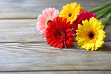 Multicolored Gerbera On Wooden Background