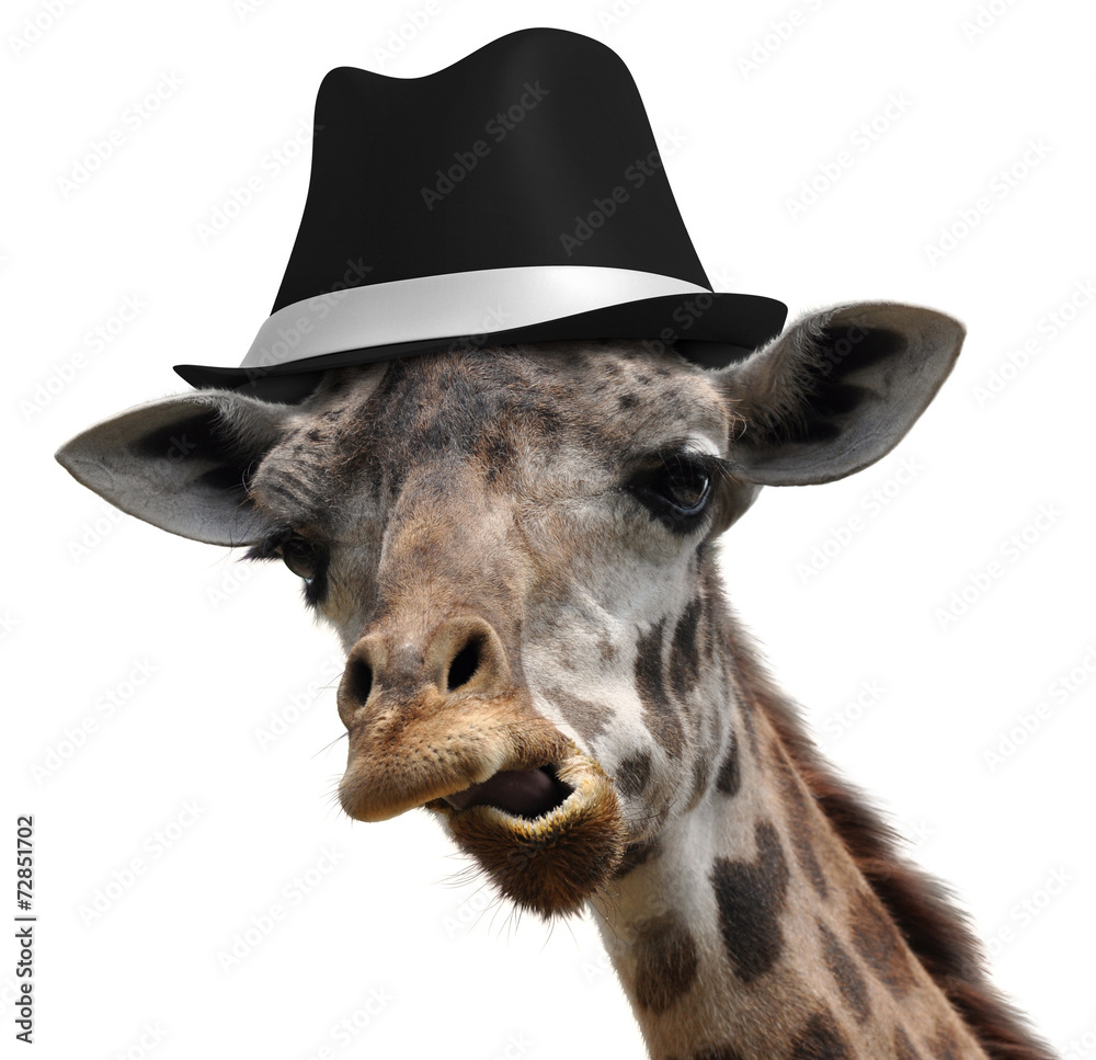 ASHAKA Givens Giraffe ? Print Fedora ASHAKA GIVENS main image 2