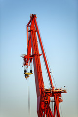 Industrial cargo cranes in the dock