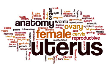 Poster - uterus word cloud