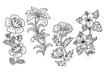 Poster - Black and white outline summer flowers