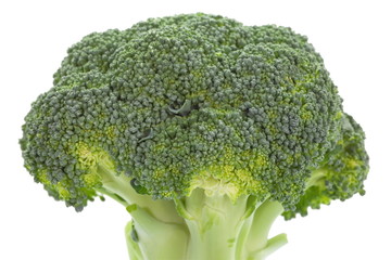 Wall Mural - Bunch of fresh broccoli isolated on white background