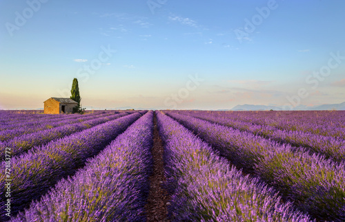 Obraz w ramie colori francesi