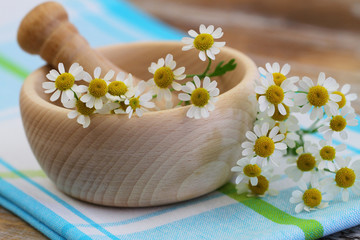 Wall Mural - Fresh chamomile flowers, closeup