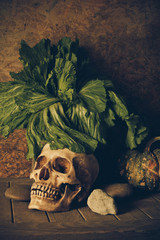 Still Life Skull and pumpkin on the timber.