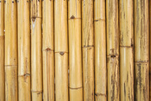Yellow Bamboo Texture And Background