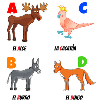 abc