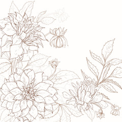 Dahlia background 1