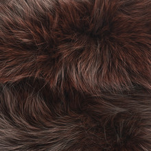 Brown Fur Texture