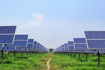 Wall Mural - solar panel ecological power for alternative energy