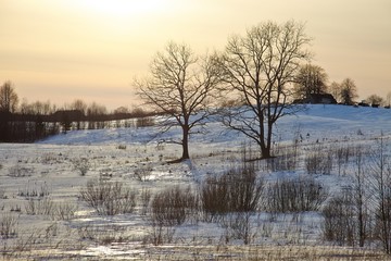 Sticker - Winter Landscape