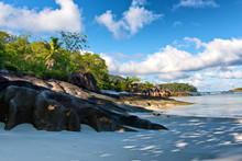 Plants On Rocks At Anse L' Islette, Seychelles