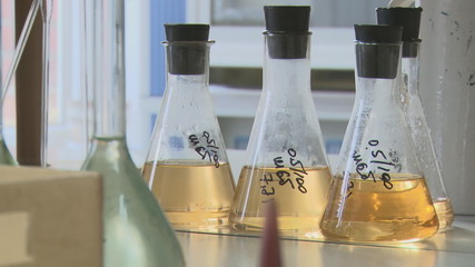 banks with hydrochloric and sulphuric acid