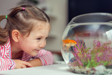 Cute Little Girl And Goldfish