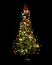 Beautiful Decorated And Illuminated Christmas Tree