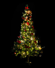 beautiful decorated and illuminated christmas tree