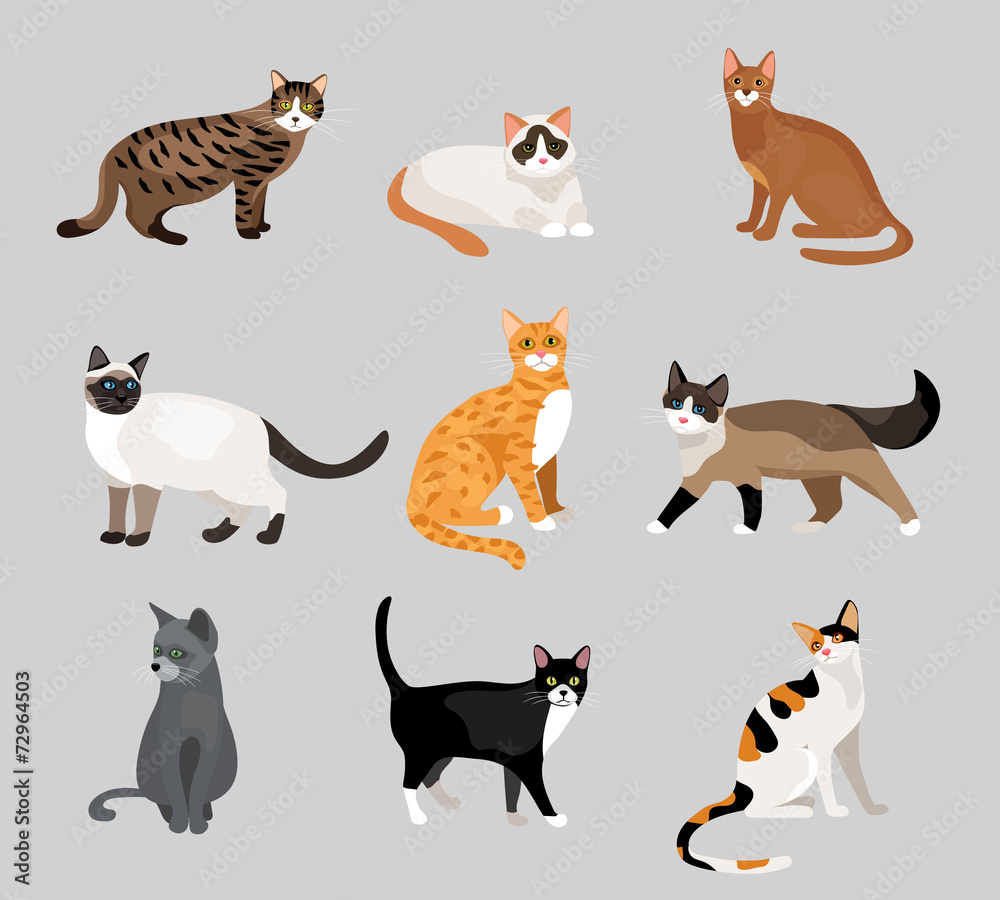 Set of cute cartoon kitties or cats Stock Vector | Adobe Stock