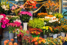 Street Flower Shop With Colourful Flowers
