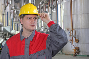 Wall Mural - Industrial worker in a factory