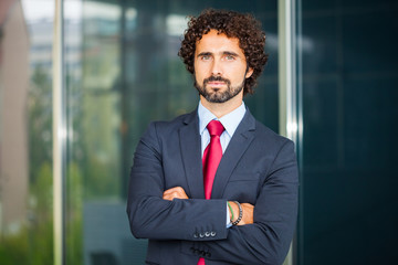 Wall Mural - Handsome business man portrait