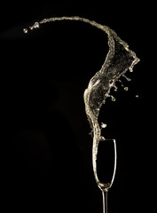 Canvas Print - Glass of champagne on black background