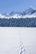canvas print picture - Fußspuren im Schnee im Gebirge