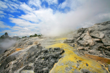 Geyser at Te Puia, thermal valley, Rotorua, New Zealand