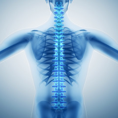 Human backbone