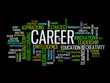 © PaulPaladin - Career word cloud