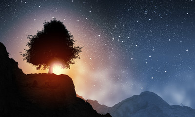 Wall Mural - natural landscape