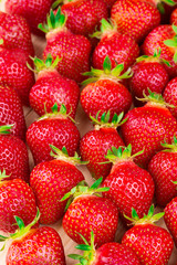 Sticker - red ripe strawberries