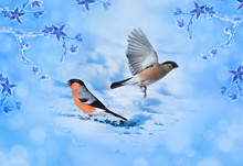 Blue Winter Background With Bird Bullfinches. Christmas Card Wit