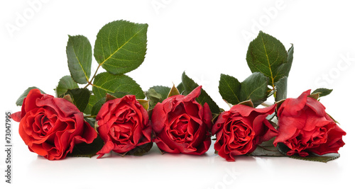 Naklejka dekoracyjna Red roses.