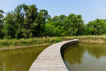 Sticker - Forest and lake with wooden path