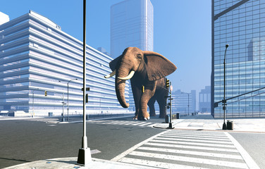 Wall Mural - Elephant