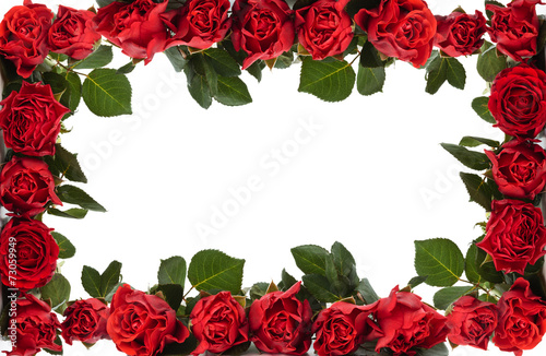 Fototapeta na wymiar Red roses frame.
