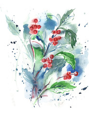 Holly Twig with Berries