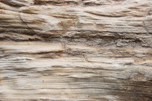 Weathered Sandstone Cliff Closeup