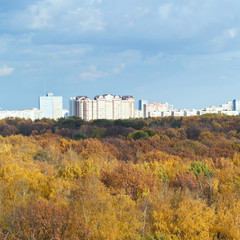 Wall Mural - yellow forest, urban houses, blue clouds