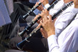 © kirvinic - Musician playing clarinet in street orchestra