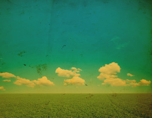 Wall Mural - green field