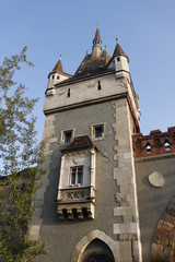 Wall Mural - Château de Vajdahunyad, Parc du Városliget à Budapest, Hongrie