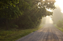 Empty Rural Gravel Road And Autumn Morning Mist