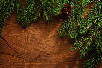 Wall Mural - evergreen tree background