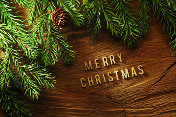 Wall Mural - evergreen tree background