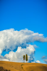 Tuscany with two cypress trees and clouds in the background